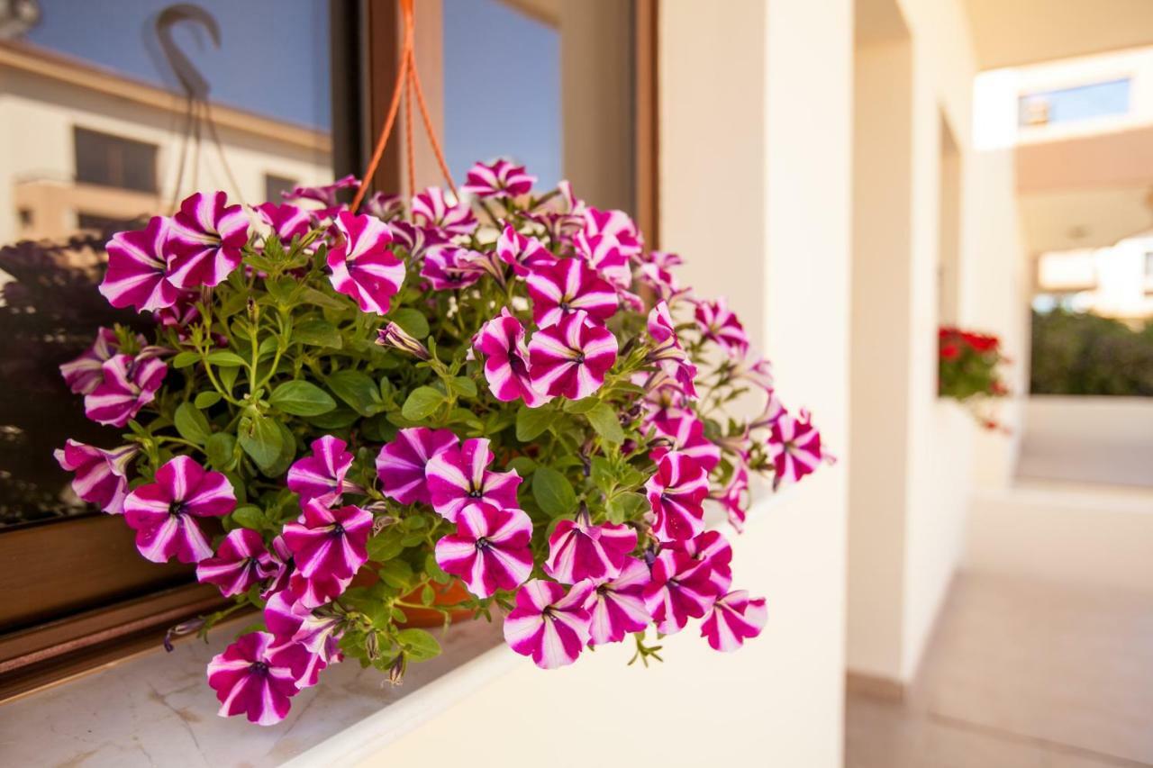 Dafni Villa 19 Paralimni Eksteriør billede